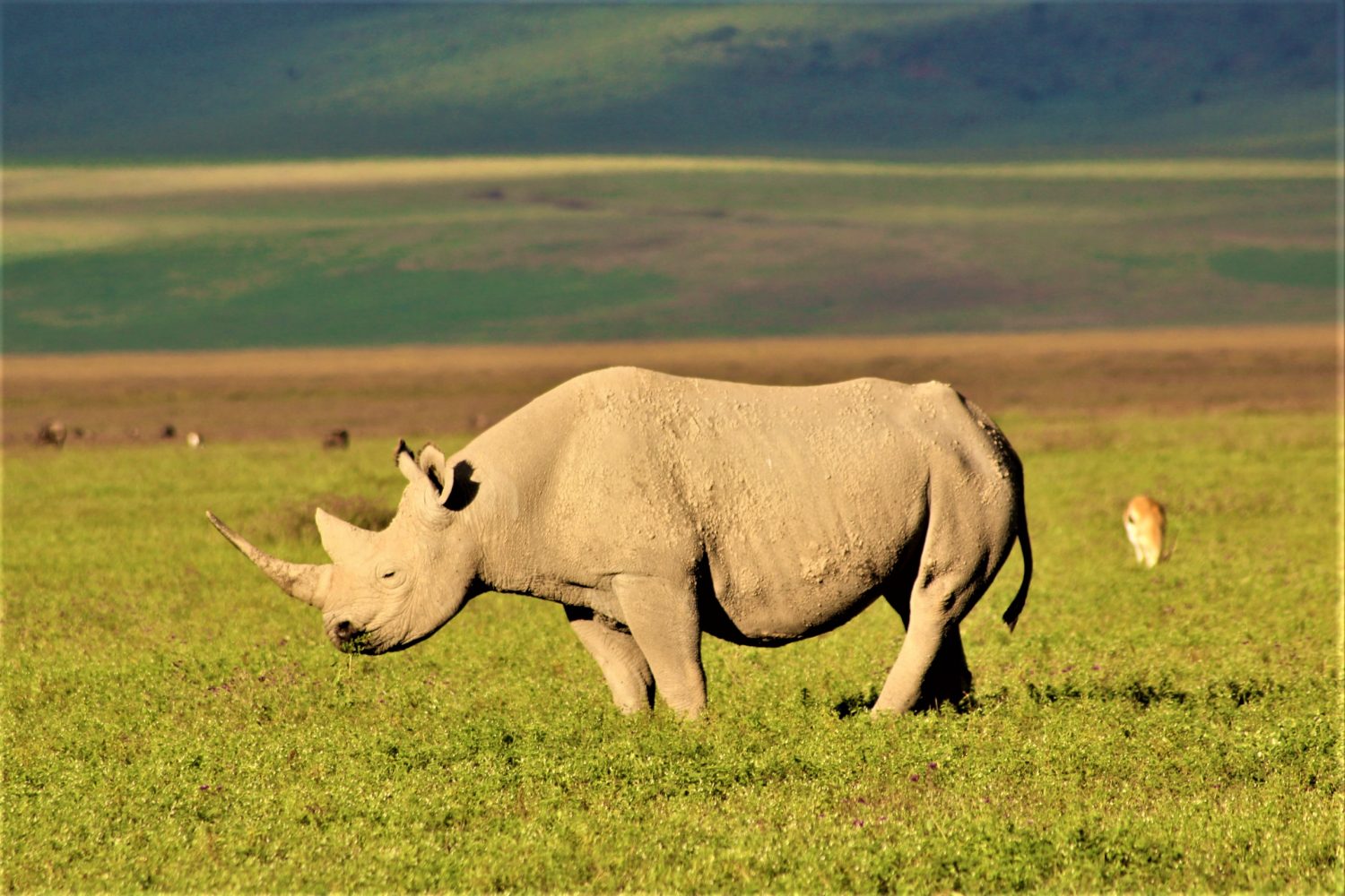 6 days Tanzania camping