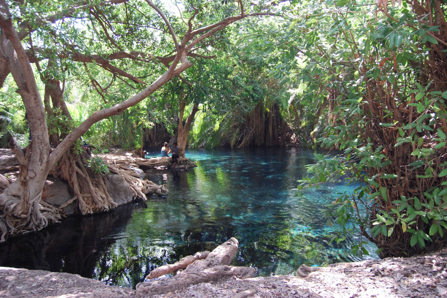 Kikuletwa hot Spring
