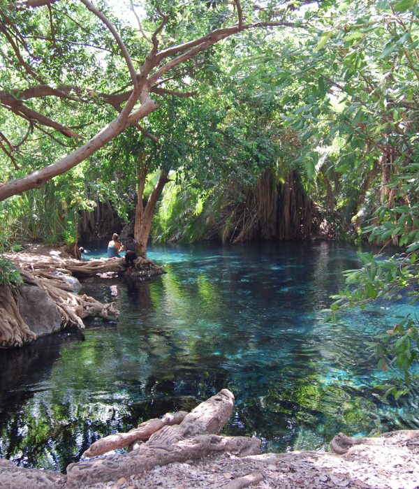 Kikuletwa hot Spring