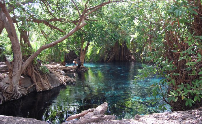 Kikuletwa hot Spring
