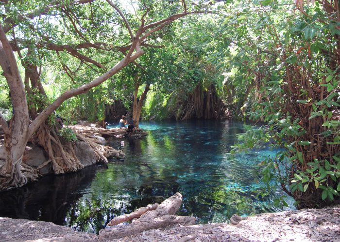 Kikuletwa hot Spring