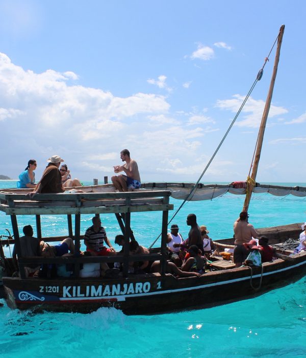 Safari and Zanzibar