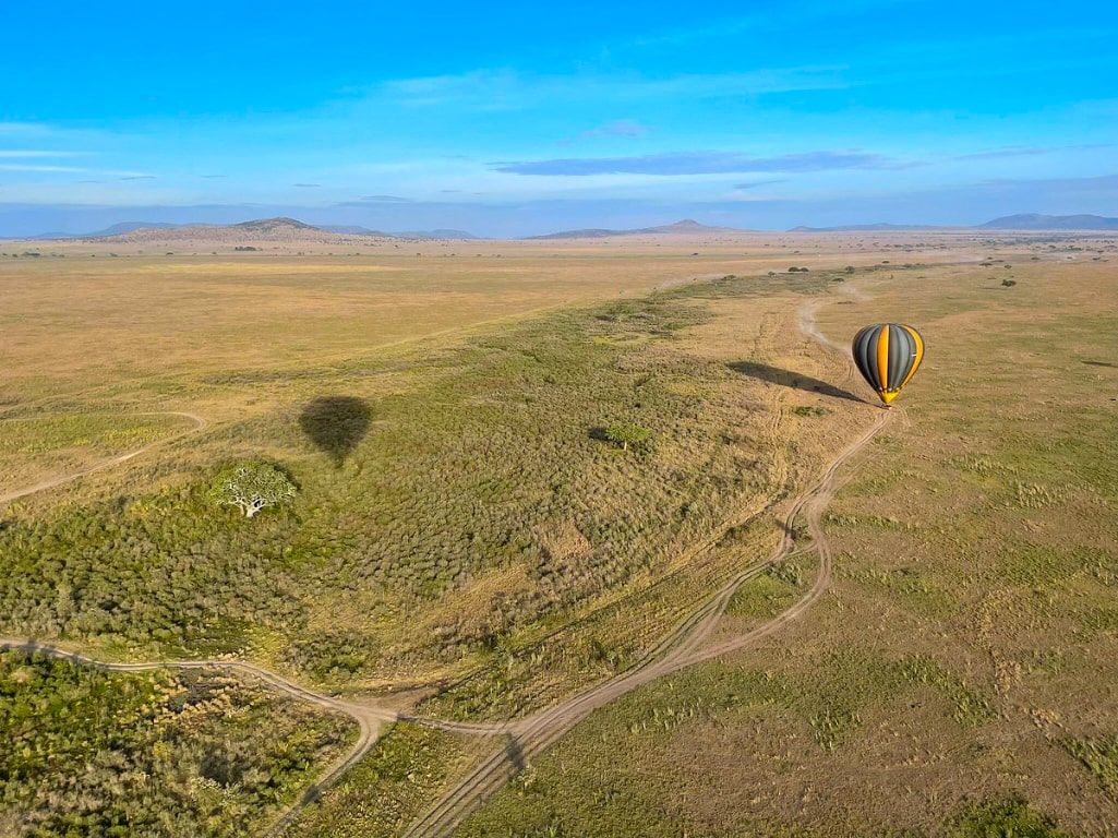 Best Time to Visit Tanzania
