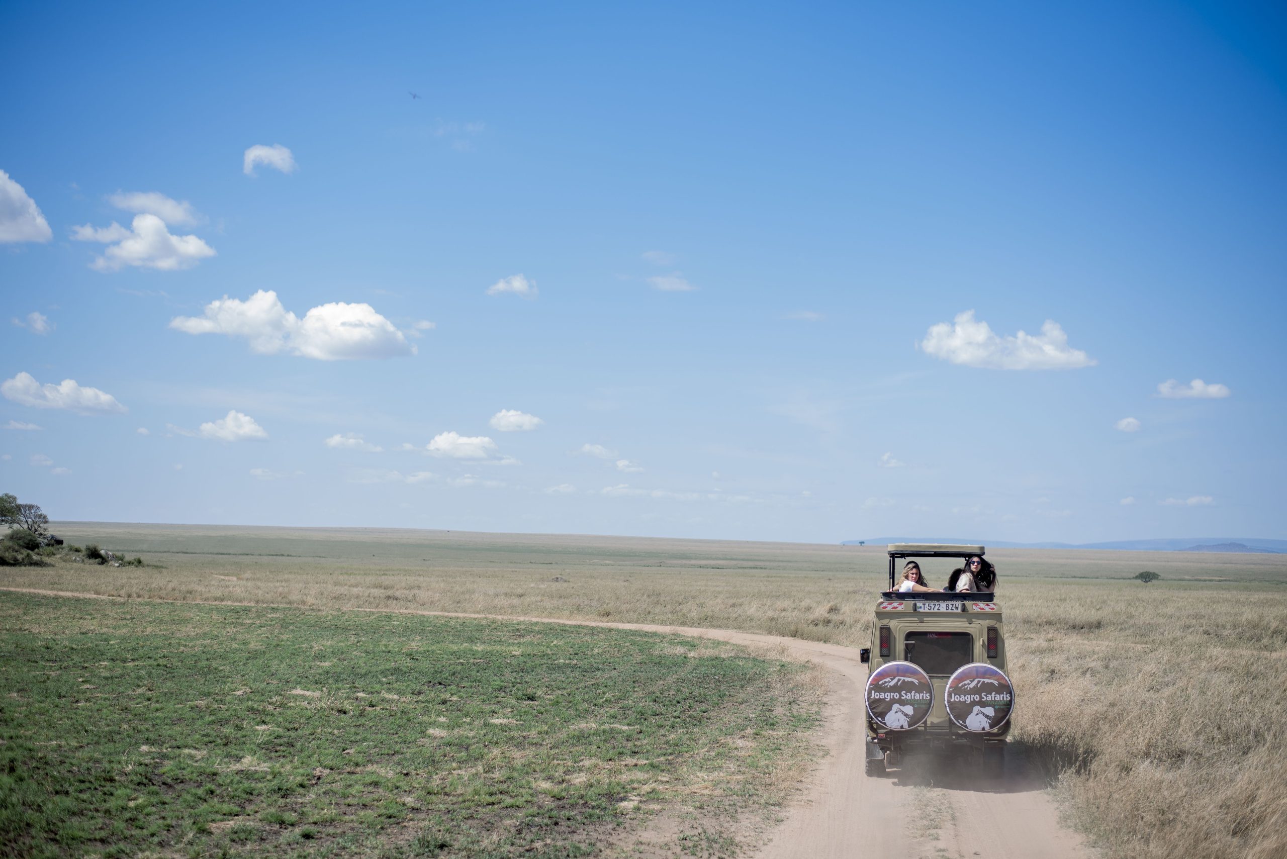 Best Time to Visit Tanzania