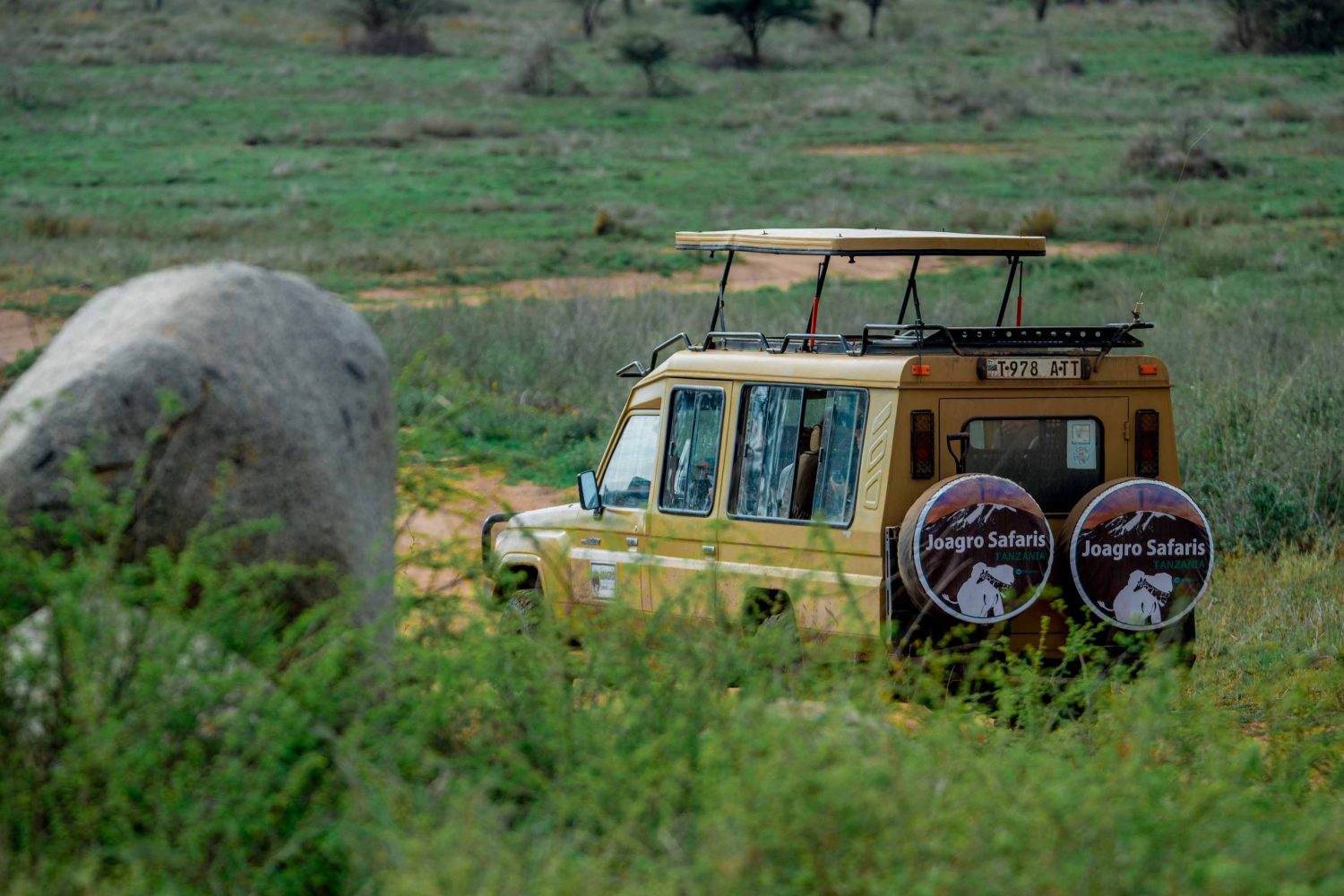 camping safari 4 days
