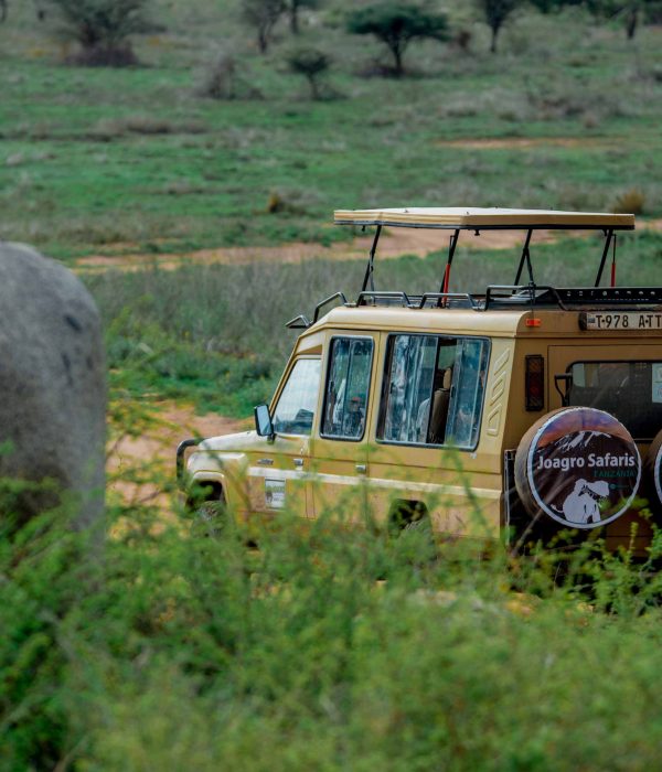 camping safari 4 days