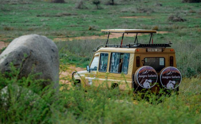 camping safari 4 days