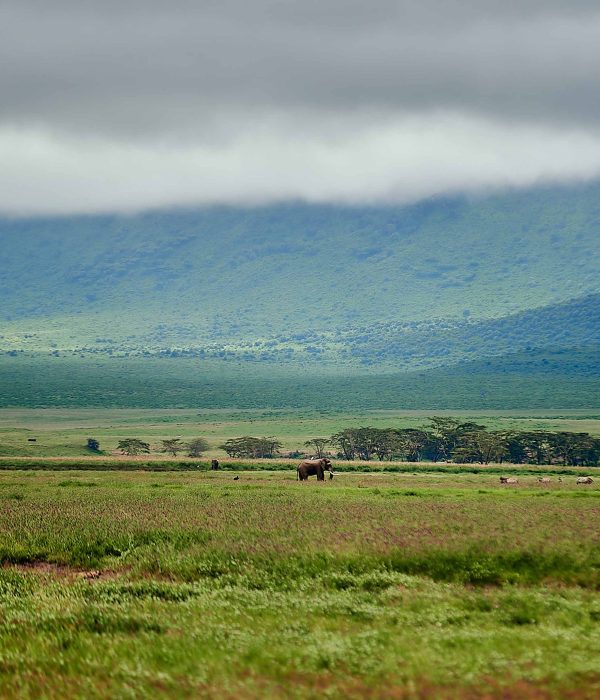2-Day Tanzania Luxury Safari
