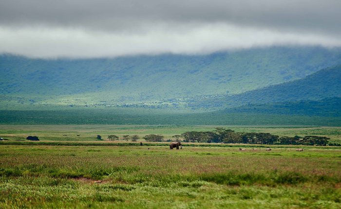 2-Day Tanzania Luxury Safari