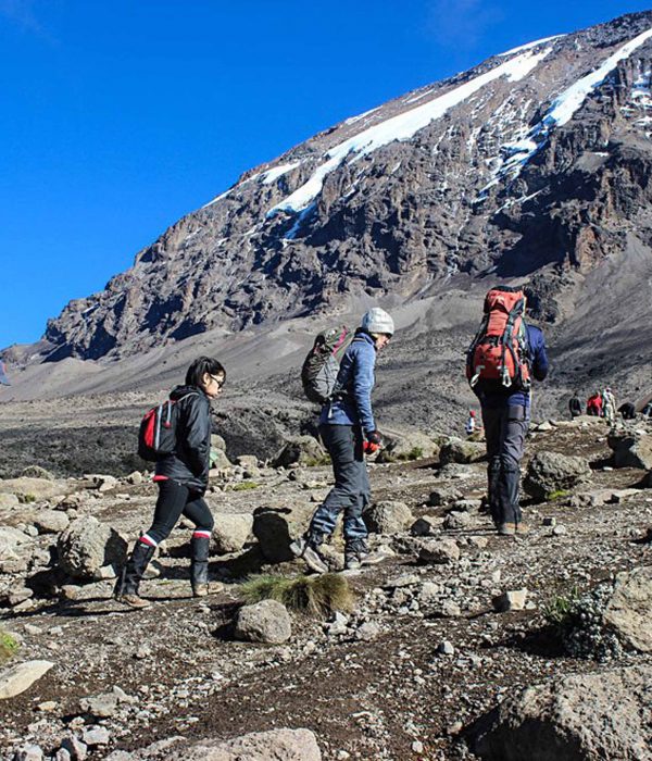 5 Days Marangu Route