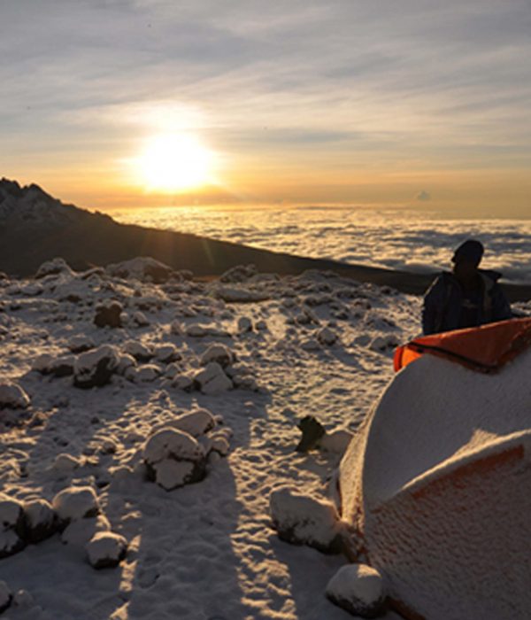6 days machame Climbing