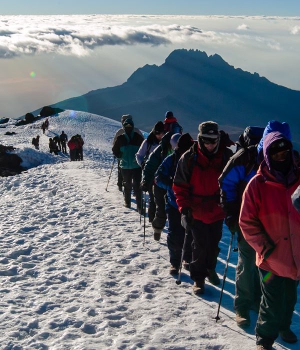 Join a group to climb Kilimanjaro