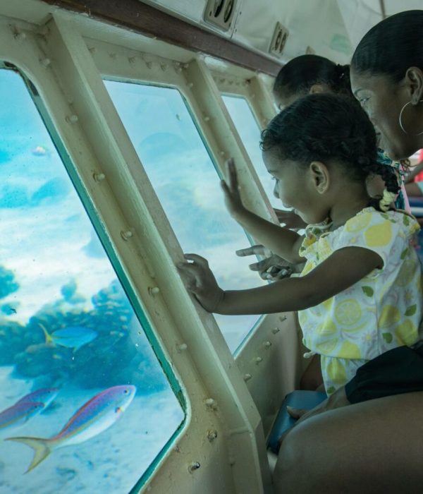 Zanzibar Submarine tour
