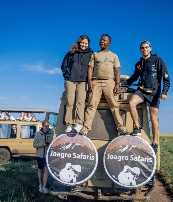 safari to Tarangire and Ngorongoro Crater