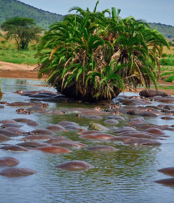 3-Day Walking and Safari Experiences