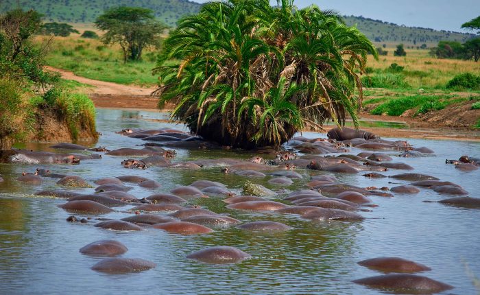 3-Day Walking and Safari Experiences