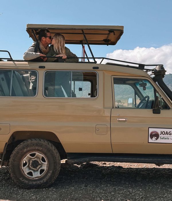 6-day remarkable Tanzania safari
