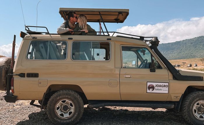 6-day remarkable Tanzania safari