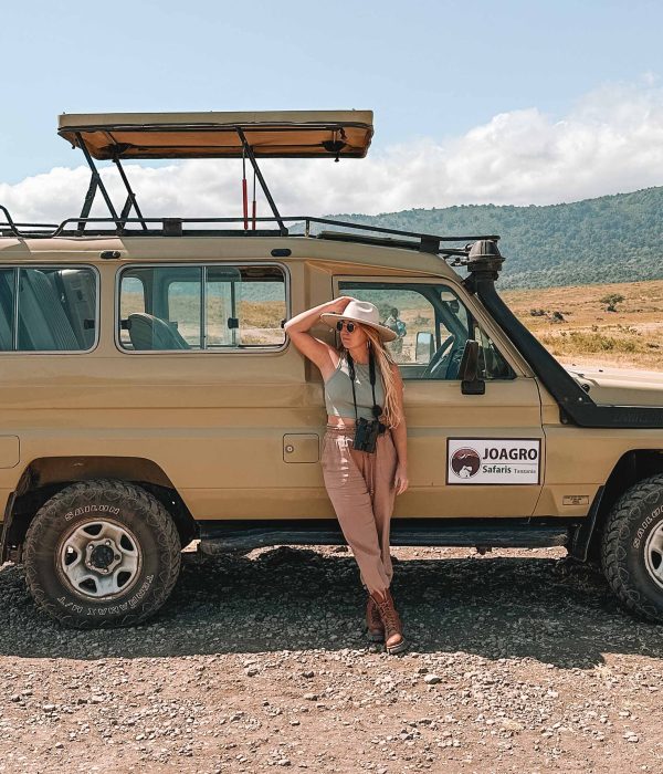 3-Day Luxury Safari to Manyara