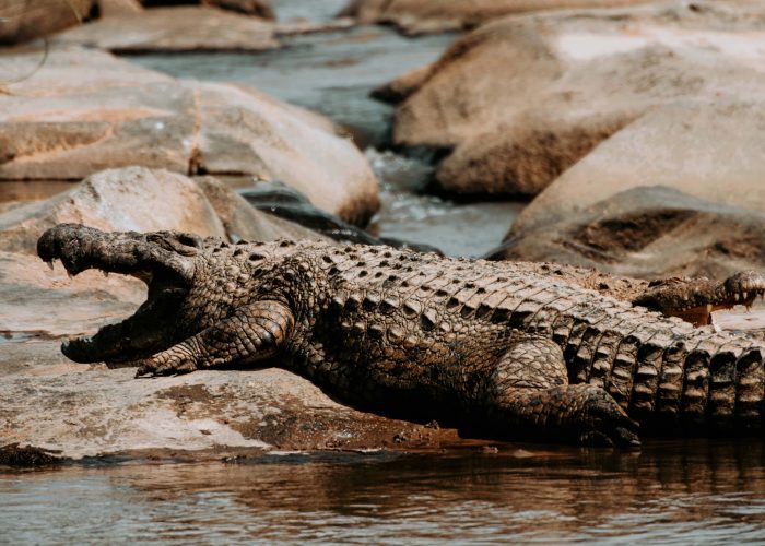 6-Day Budget Tanzania Camping