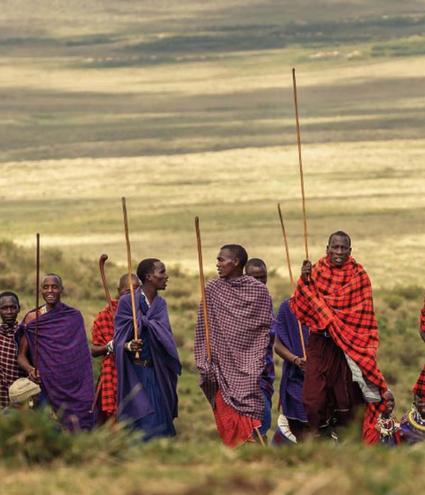 4-Day Safari and the Maasai Village