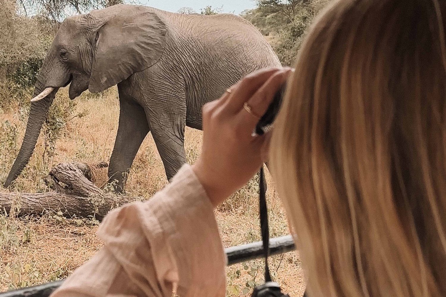 A day trip to Tarangire