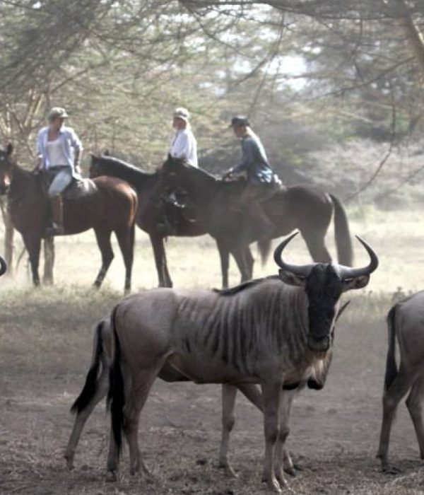 Horseback Riding in Arusha