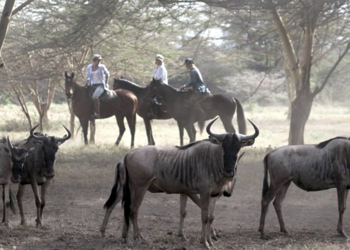 Horseback Riding in Arusha