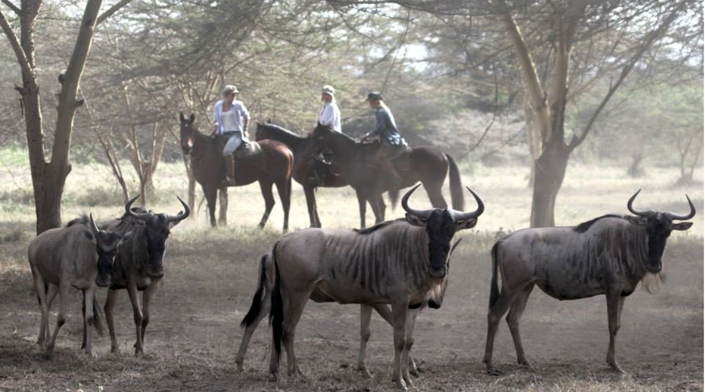 Horseback Riding in Arusha