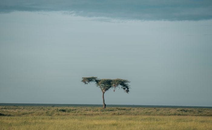 8-Day Amazing Safari and Culture-Tanzania Safari Travel Agency Operator