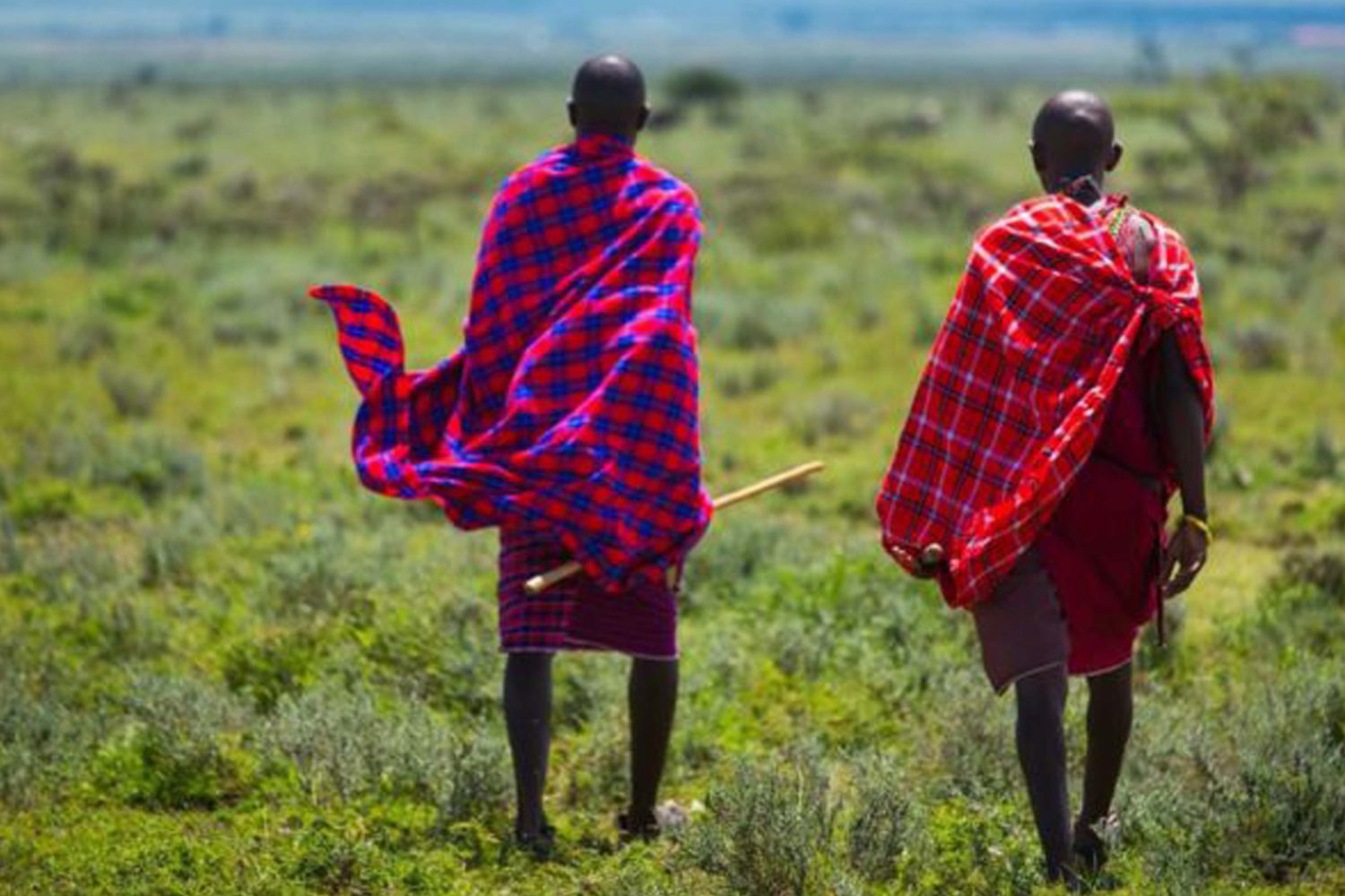 Maasai Village in Monduli Juu