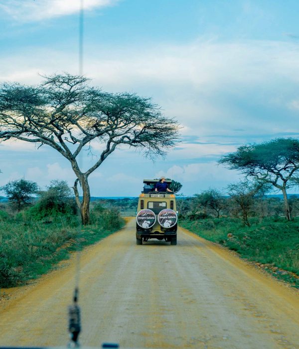 2-Day Safari to Tarangire & Ngorongoro-Best safari in Tanzania