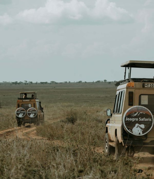 15-day Kenya & Tanzania with Serengeti