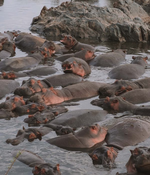 10-Day Magical Kenya & Tanzania