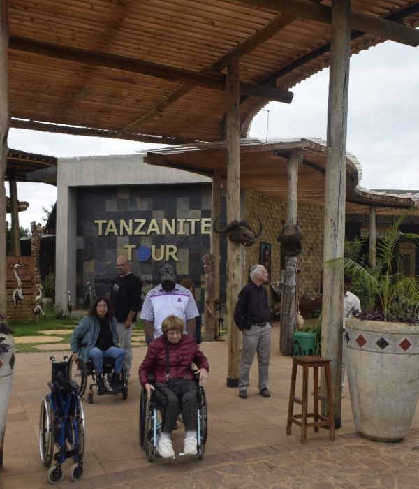 5-Day Wheelchair-Accessible Tanzania Safari
