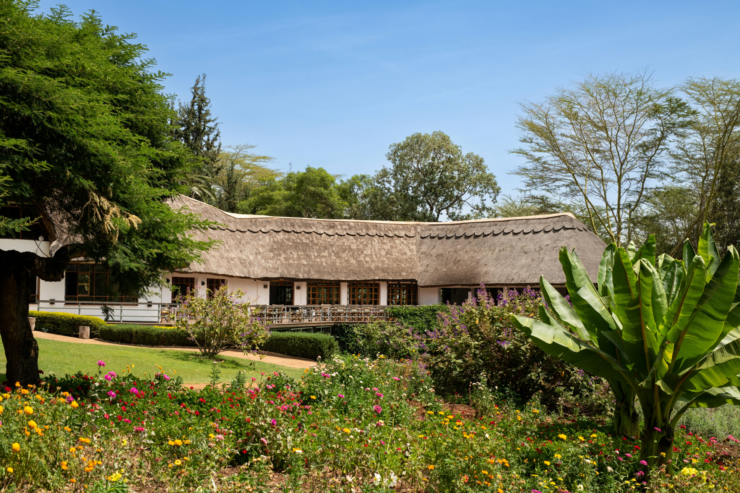 9-Day Tanzania Luxury Safari-Ngorongoro Farm House Lodge