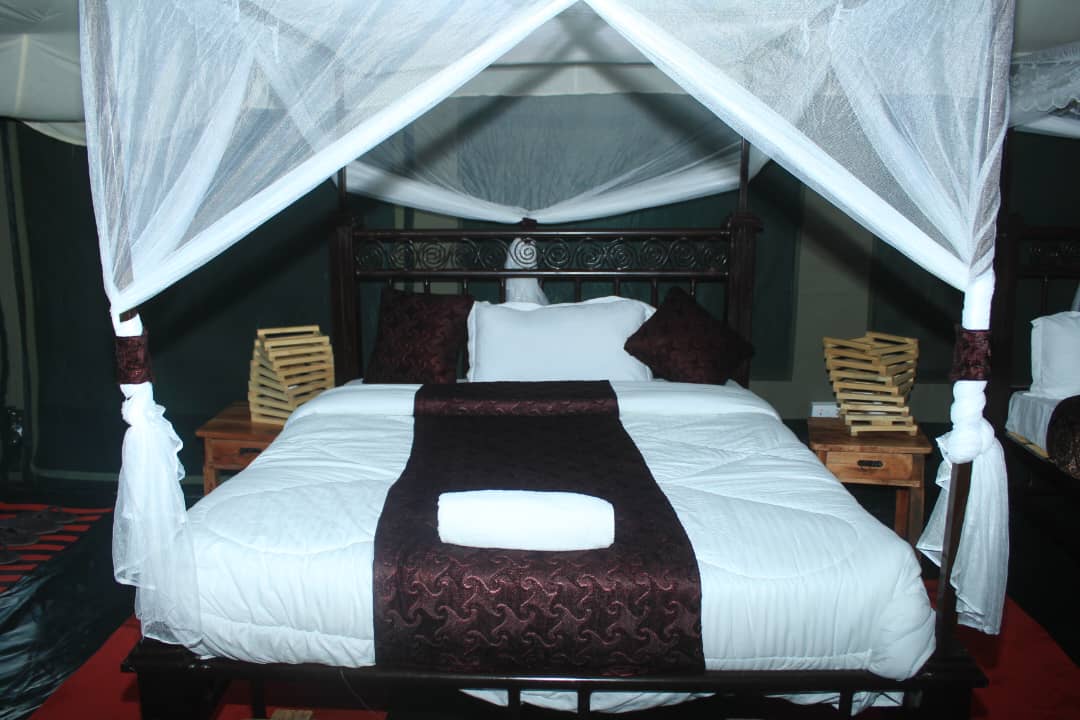 Robin safari camp