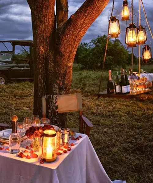 Robins Safari Camp