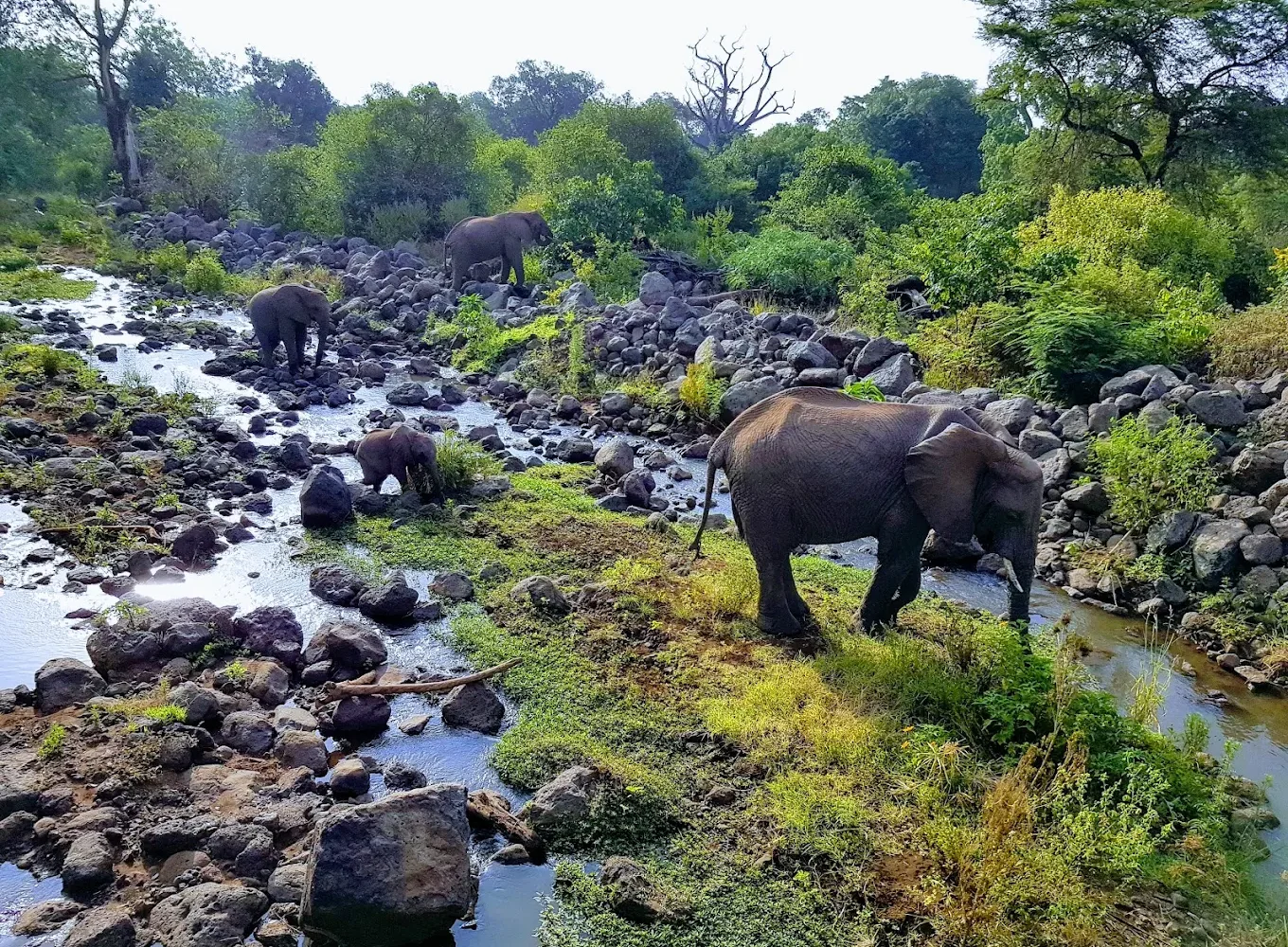 Fanaka Safaris Campsite & Lodges